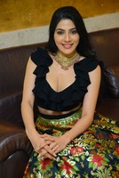 Nikki Tamboli Gallery
